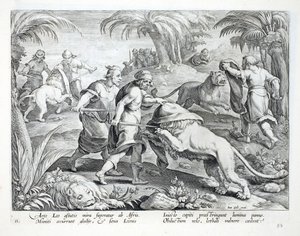 Africanos cazan leones cubriéndose la cabeza, luego perforándolos con una herida mortal, ilustración de 